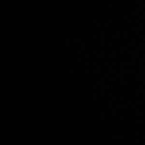 Meet your Posher, Cheyenne